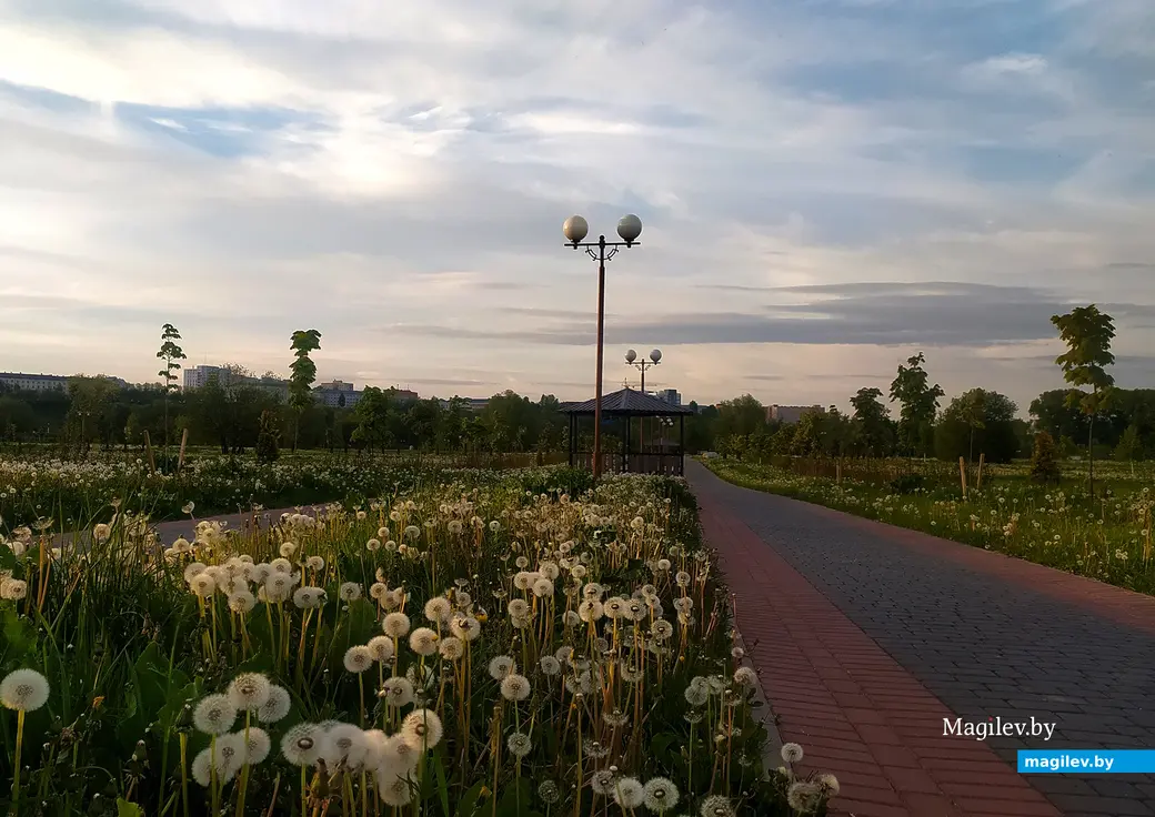16.05.2024 г. Могилев, парк Подниколья