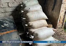 Около тонны минеральных удобрений похитил житель Шклова с места работы