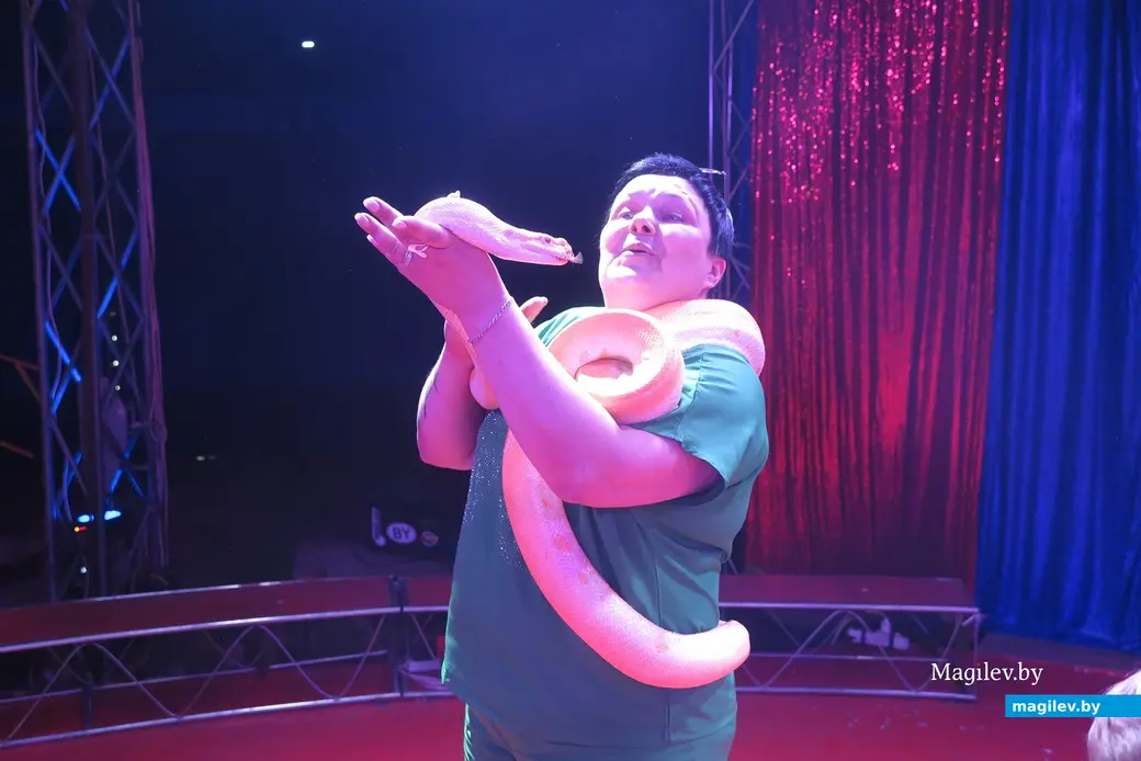 Май 2024 г. Могилев, пр.Пушкинский. Во время антракта зрители могли за деньги пофотографироваться с цирковыми питомцами.