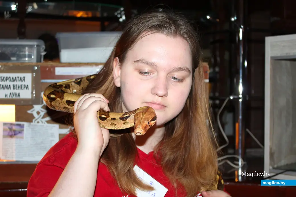 18 мая 2024 года. Могилев. «Зверополис» с ручными экзотическими животными, рептилиями и птицами.