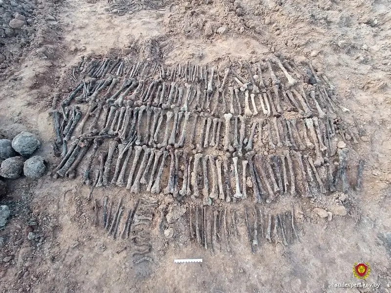 Фото: Управление ГКСЭ по Могилевской области