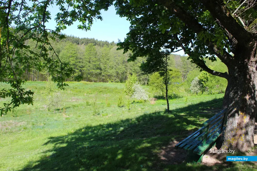 Май 2024 года. Деревня Жодишки Сморгонского района Гродненской области.