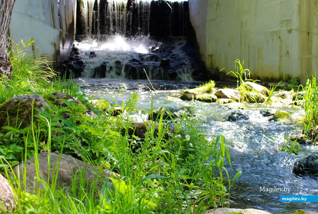 Май 2024 года. Деревня Жодишки Сморгонского района Гродненской области.