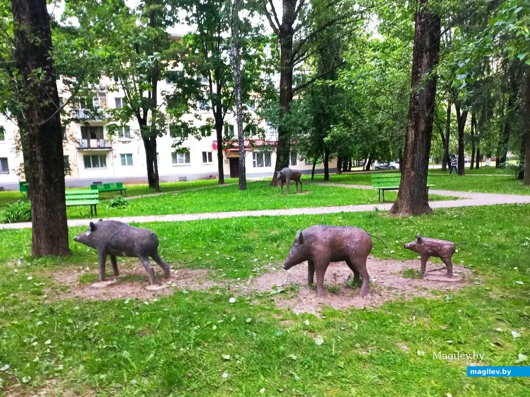 21.05.2024. Могилев, микрорайон Мир-2.