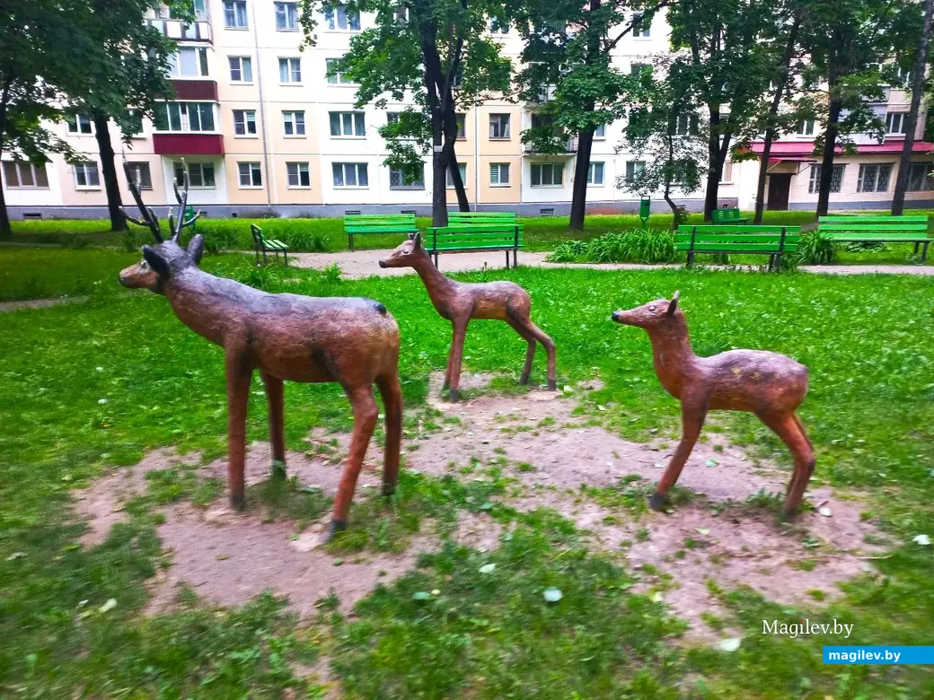 21.05.2024. Могилев, микрорайон Мир-2.