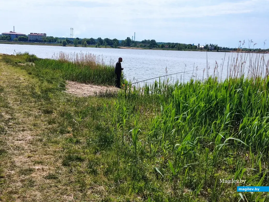 22.05.2024 г. Могилев, Гребеневское водохранилище (Святое озеро)