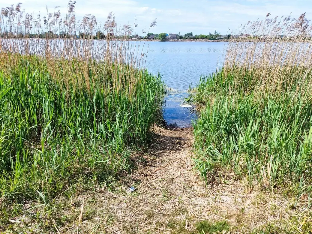 22.05.2024 г. Могилев, Гребеневское водохранилище (Святое озеро). Фото Ирины Половиковой.