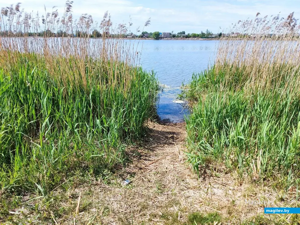 22.05.2024 г. Могилев, Гребеневское водохранилище (Святое озеро)