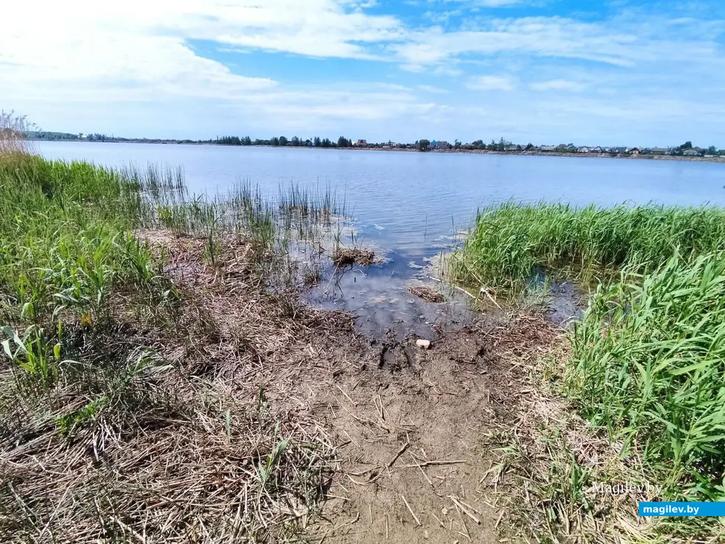 22.05.2024 г. Могилев, Гребеневское водохранилище (Святое озеро)