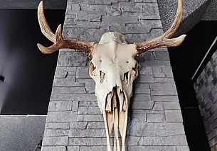 Без выпечки, но с черепами. В Заднепровье открылось новое кафе