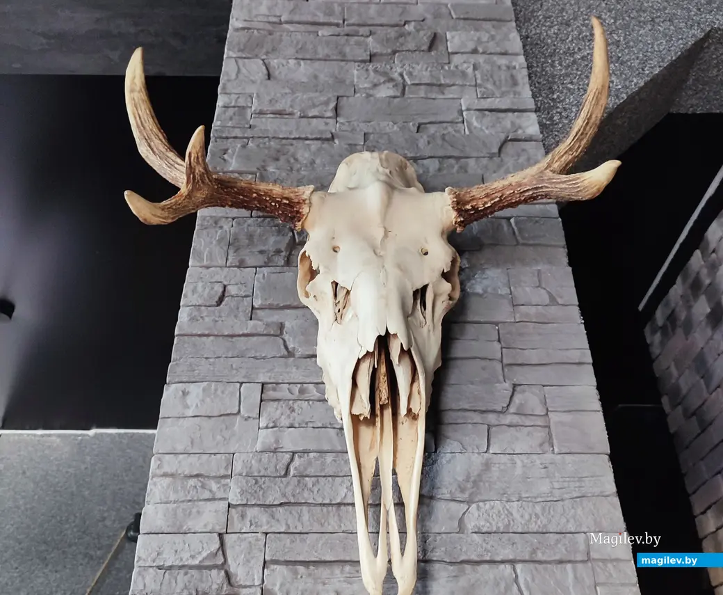 Без выпечки, но с черепами. В Заднепровье открылось новое кафе. 23 мая 2024 года.