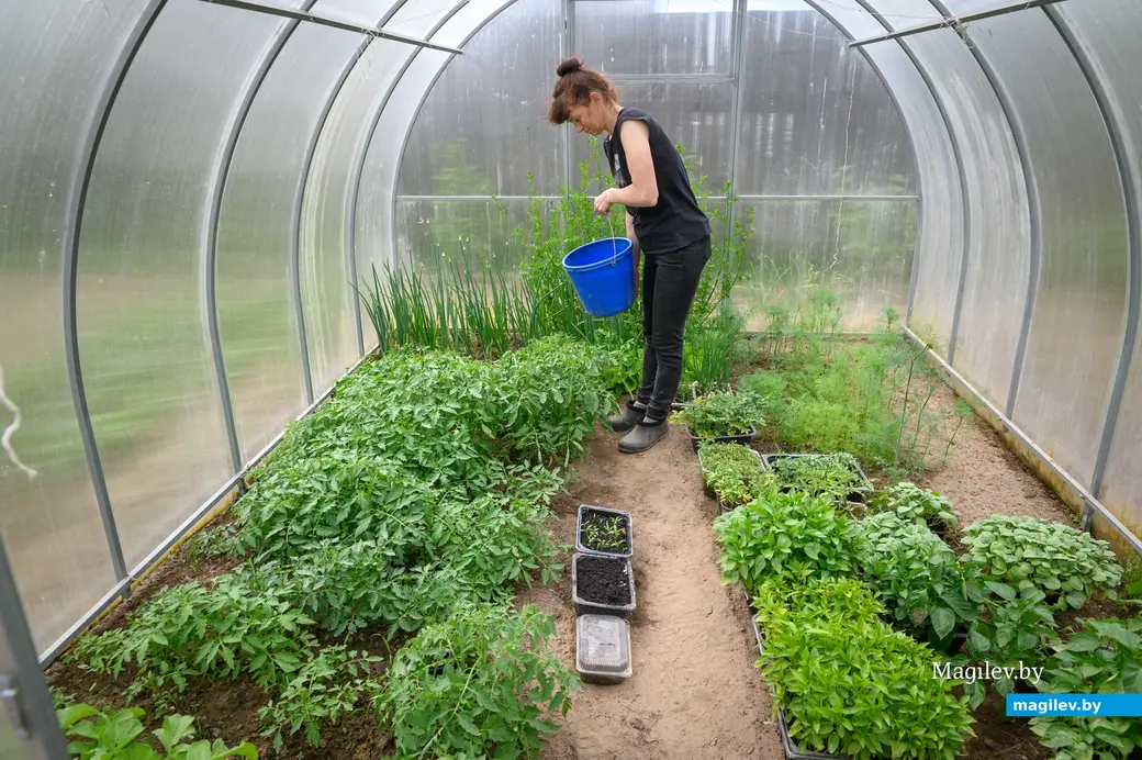 21.05.2024. Бобруйск. Любовь Владимировна Макаренко на своем приусадебном участке.