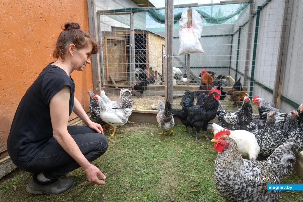 21.05.2024. Бобруйск. Любовь Владимировна Макаренко на своем приусадебном участке.