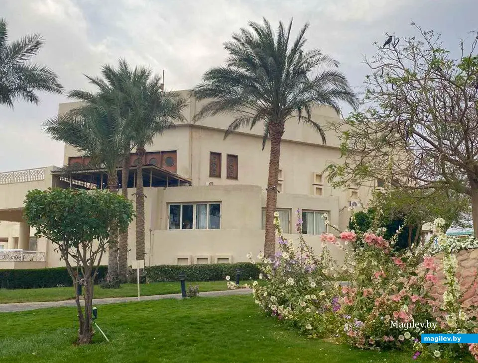 Май 2024 года. Египет. Шарм-эль-Шейх.