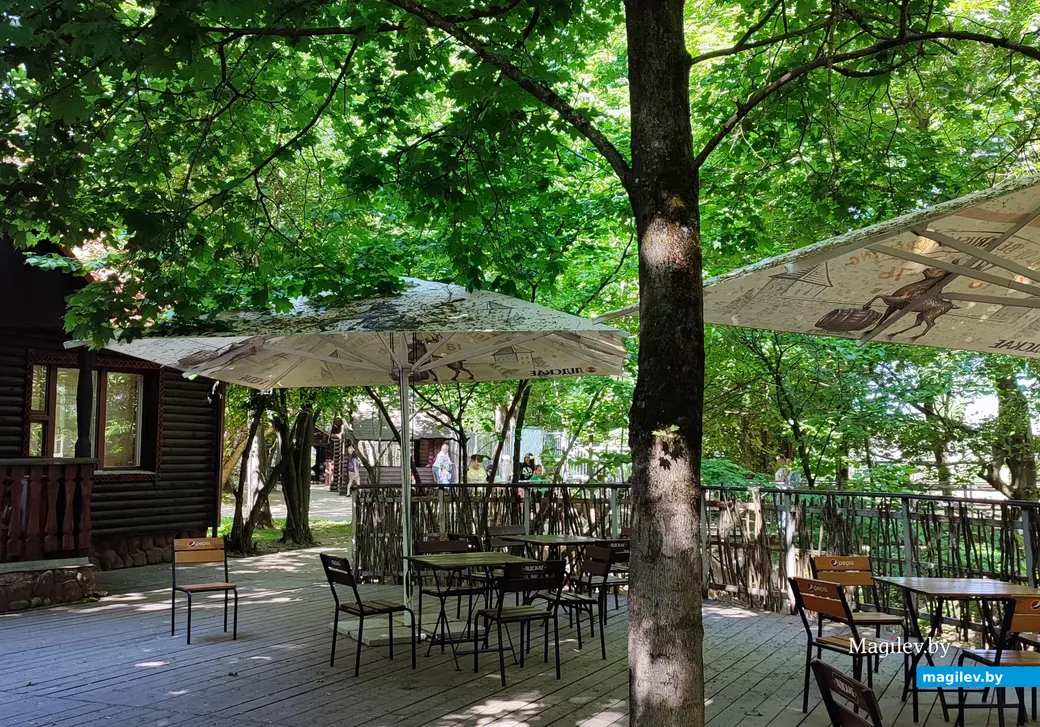 Есть и наблюдать за муфлонами. Позавтракали в мини-кафе «Избушка». Май 2024 года.