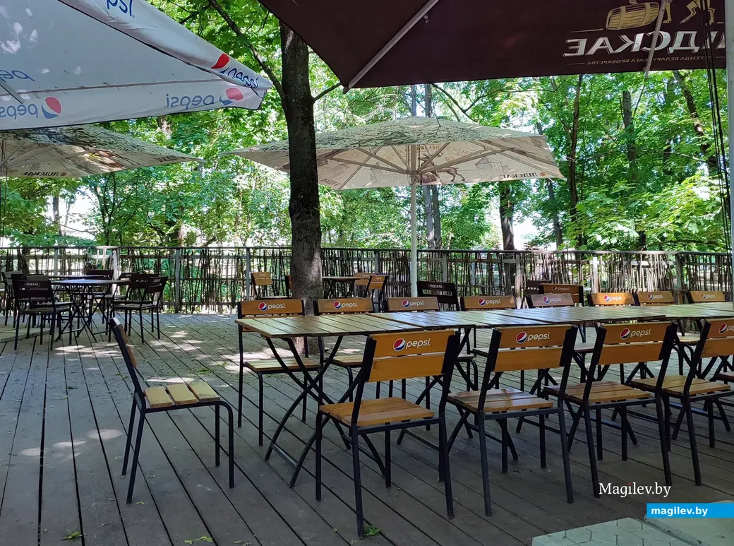 Есть и наблюдать за муфлонами. Позавтракали в мини-кафе «Избушка». Май 2024 года.