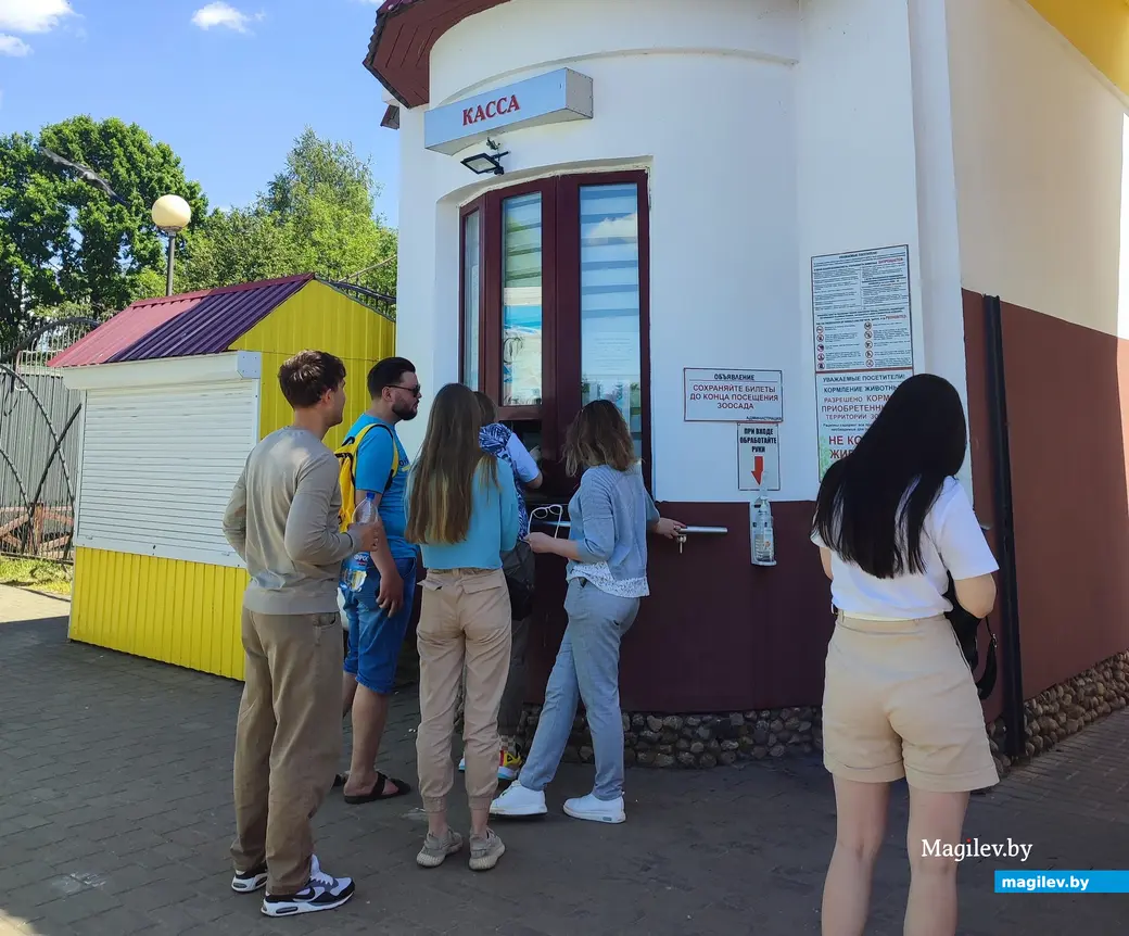 Видели драку муфлонов и умилялись медвежонком. Сходили в могилевский зоосад  | magilev.by