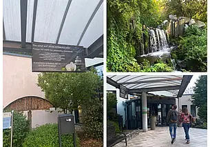 Это не про гигиенические процедуры: про любовь немцев к саунам