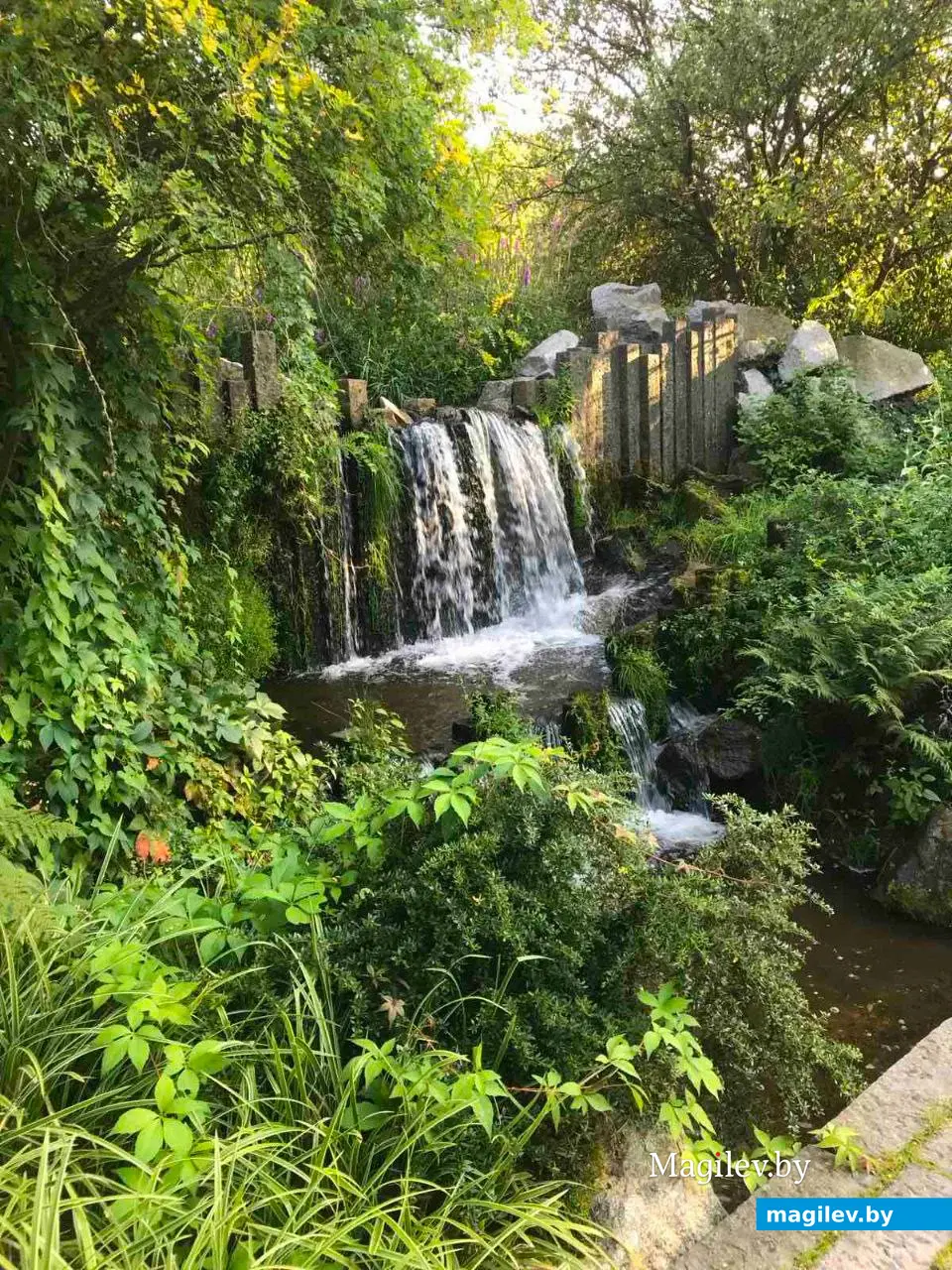 2023 год. Германия. Саксония. Вид из окна термального курорта.