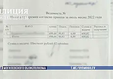 В Мстиславле главбух и ее заместительница несколько лет прикарманивали деньги сельхозпредприятия