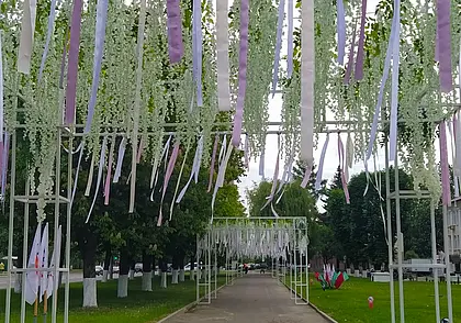 Ленточно-цветочные инсталляции установили по улице Челюскинцев в Могилеве. Фотофакт
