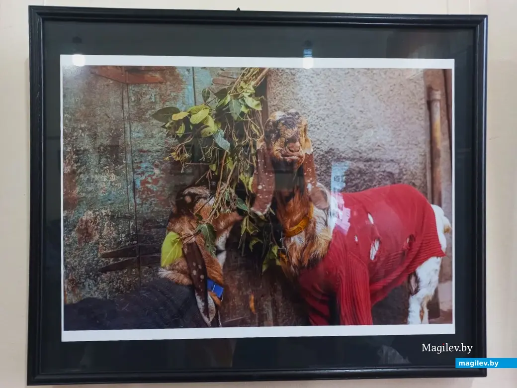 30.05.2024 г., Могилев, фотоклуб «Радуга». Открытие выставки Яны Корбаль «Падарожжа з водарам перцу. Цудоўная Iндыя».