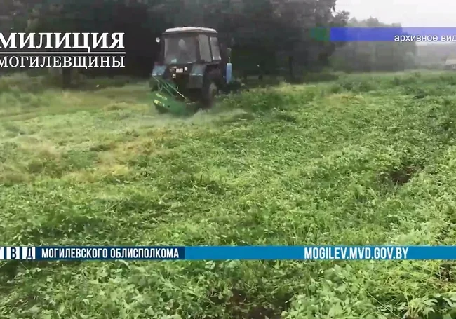 Специальная программа «Мак» пройдет в Могилевской области с 1 июня по 15 сентября