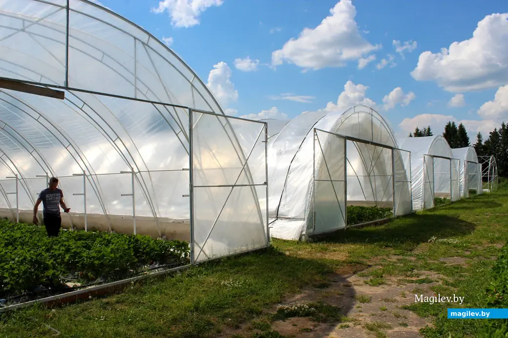 Май 2024 года. Круглянский район Могилевской области. Фермерское хозяйство Сергея Пыжанкова.