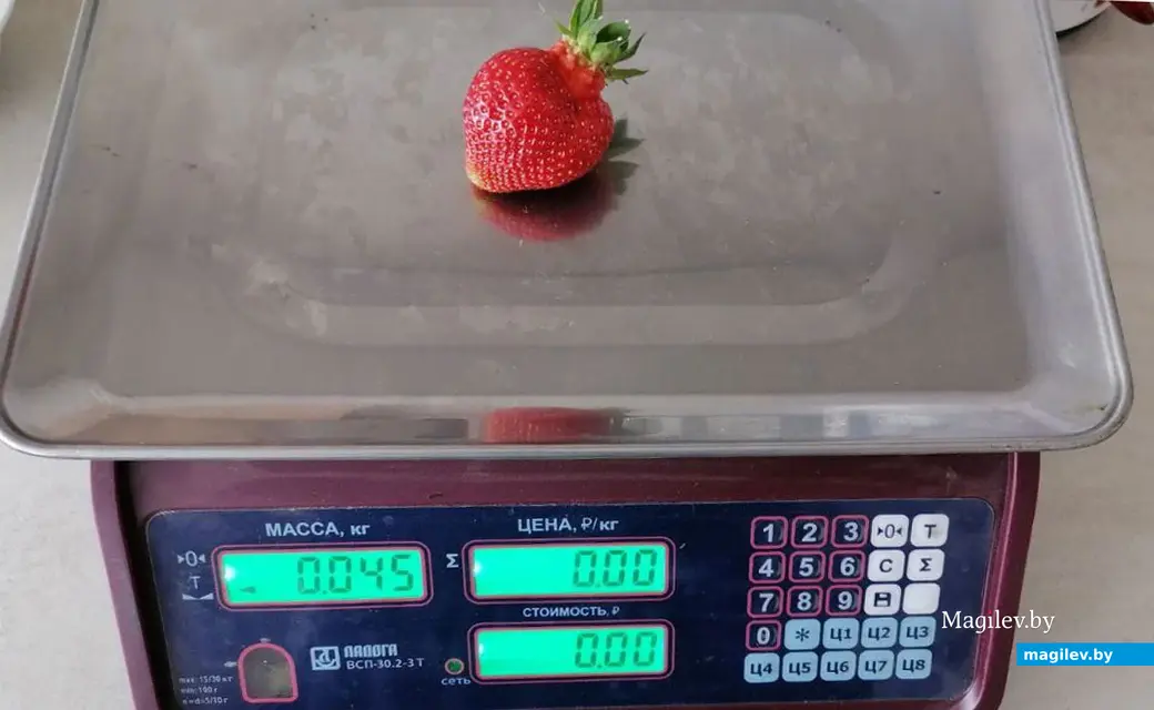 Май 2024 года. Круглянский район Могилевской области. Фермерское хозяйство Сергея Пыжанкова.