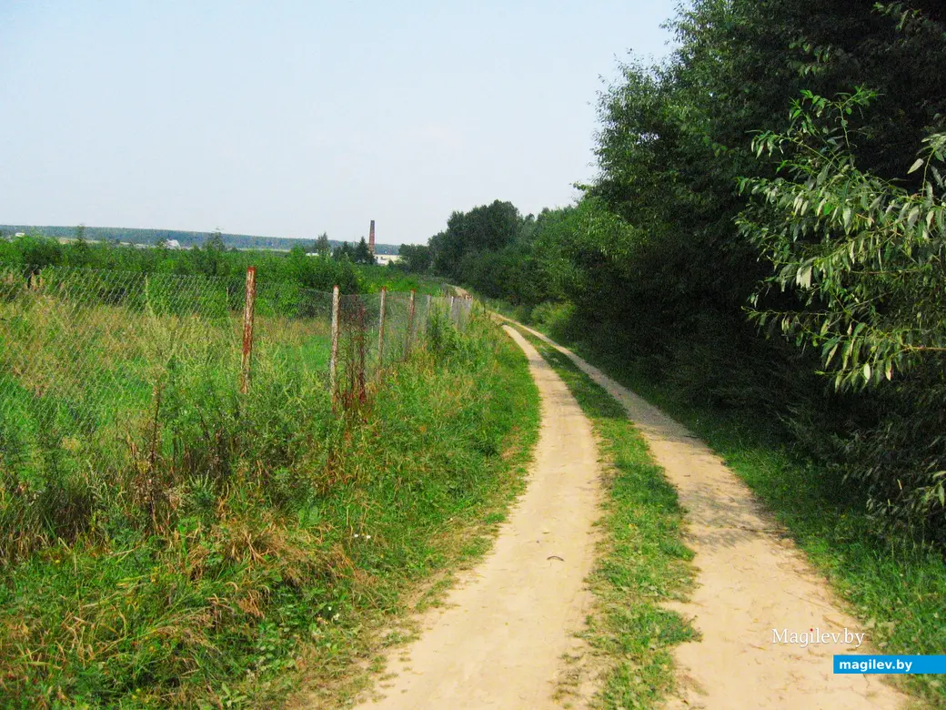 2014 год, Могилев. Дорога из Старого Пашково к Солдатскому озеру.