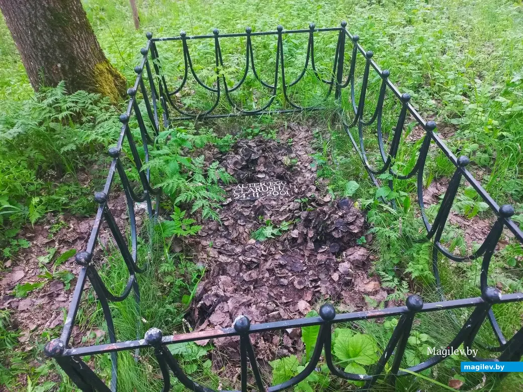 Май 2024 г., Могилев. Захоронение неизвестной собаки (?) на Дубровенке.