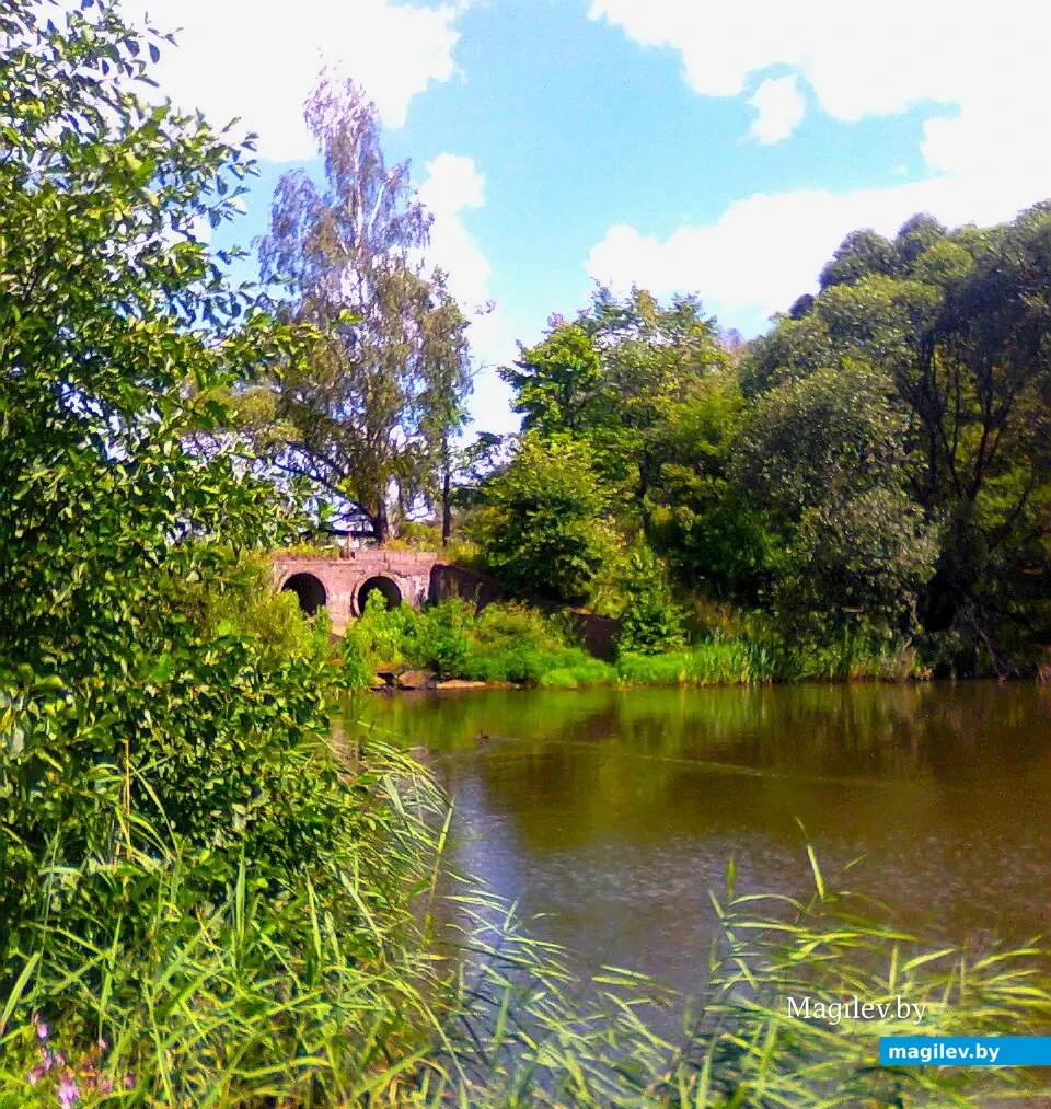 2014 год, Могилев, Солдатское озеро.