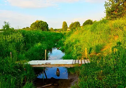 Могилев исчезающий. «Приснянка? А что это такое?»