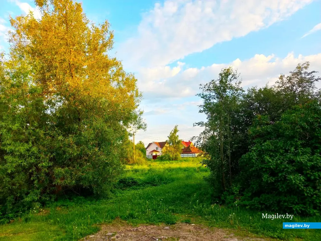 Май, 2024 г., Могилев. Речушка Приснянка.