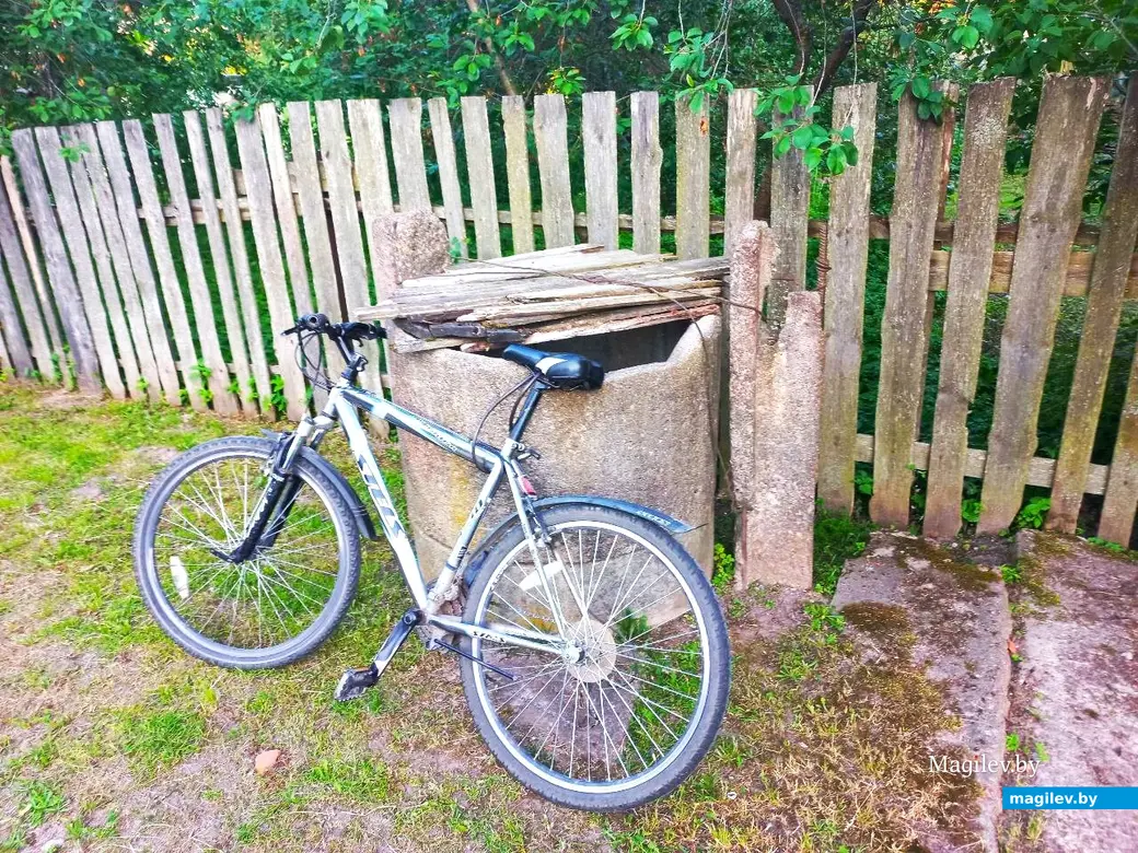 Май, 2024 г., Могилев. Речушка Приснянка.