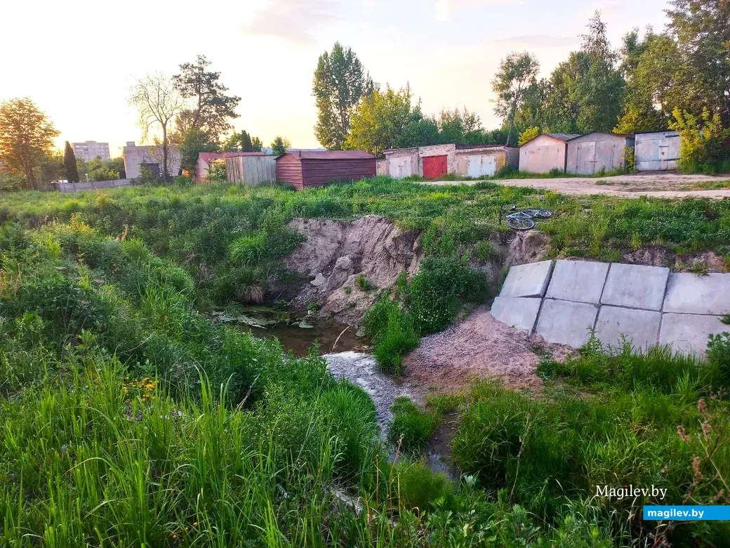 Май, 2024 г., Могилев. Речушка Приснянка.