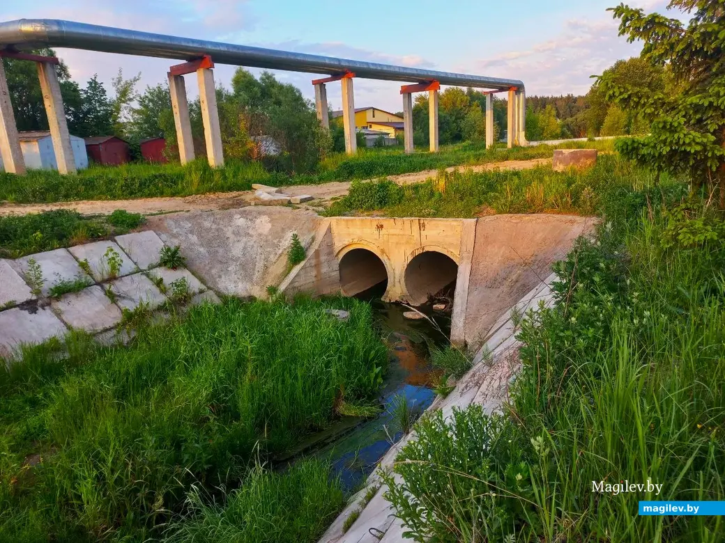 Май, 2024 г., Могилев. Речушка Приснянка.