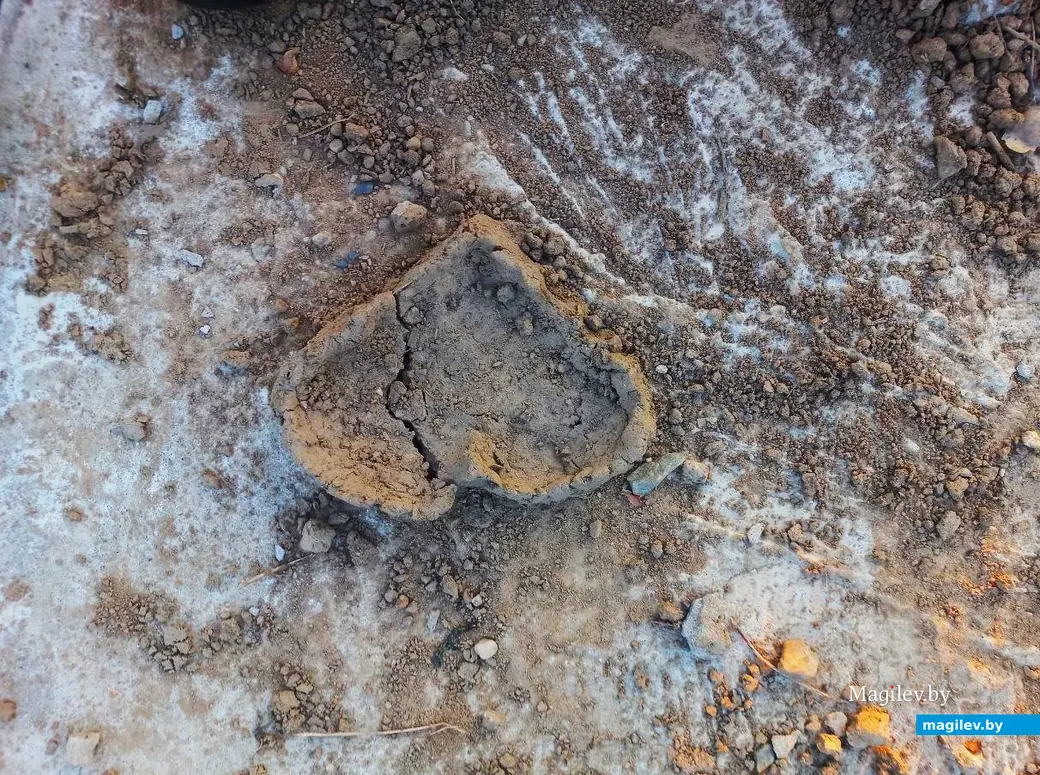 Май, 2024 г., Могилев. Речушка Приснянка.