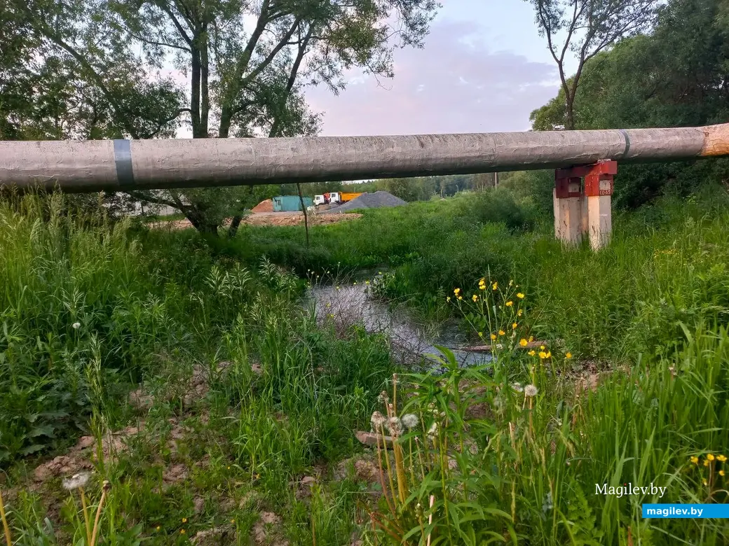 Май, 2024 г., Могилев. Речушка Приснянка.
