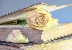 Библиотеки Могилева приглашают юных читателей на день рождения Пушкина