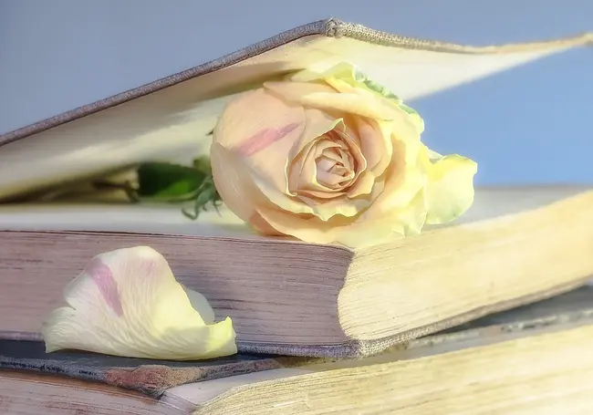 Библиотеки Могилева приглашают юных читателей на день рождения Пушкина