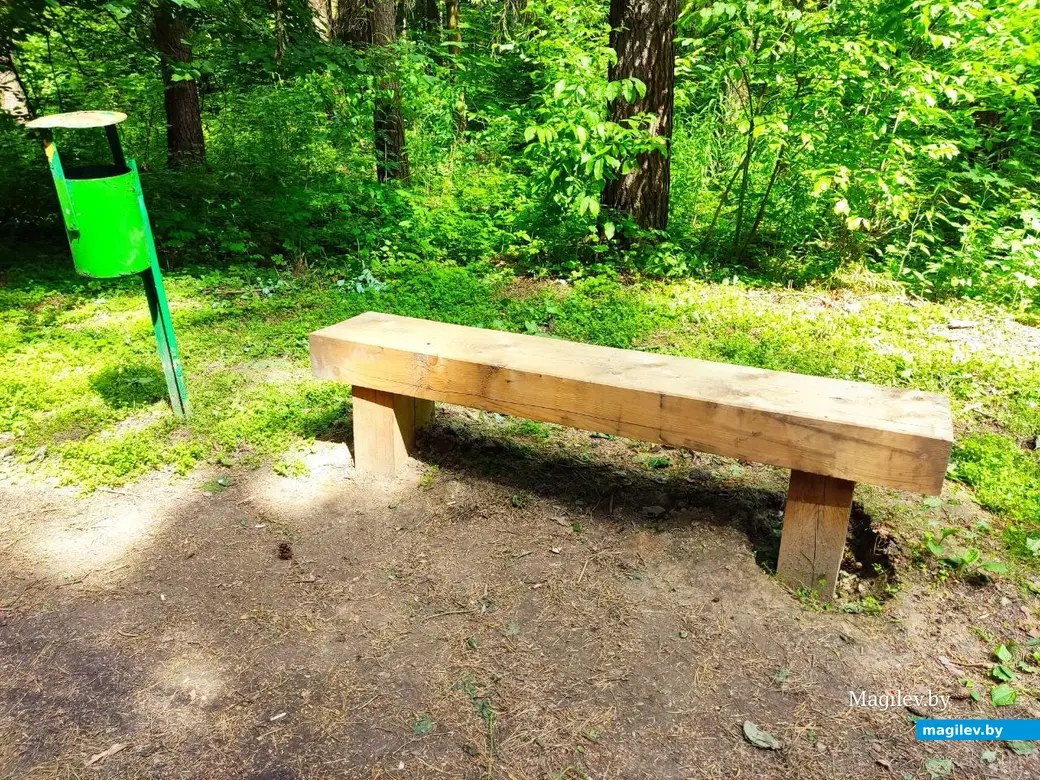 5.06.2024 г. Могилев, Печерский лесопарк, экологическая тропа «Здоровье». Эта лавка явно из новых