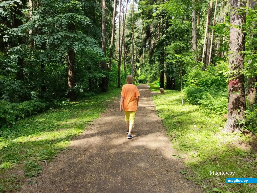 5.06.2024 г. Могилев, Печерский лесопарк, экологическая тропа «Здоровье»