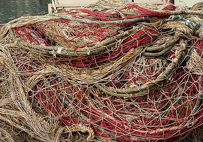 Сети, незарегистрированные охотничьи ружья и патроны изъяты у двух жителей Шкловского район