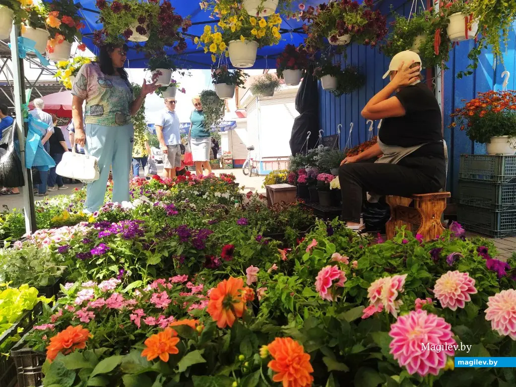 7 июня 2024 года. Могилев. Минский (Центральный) рынок.