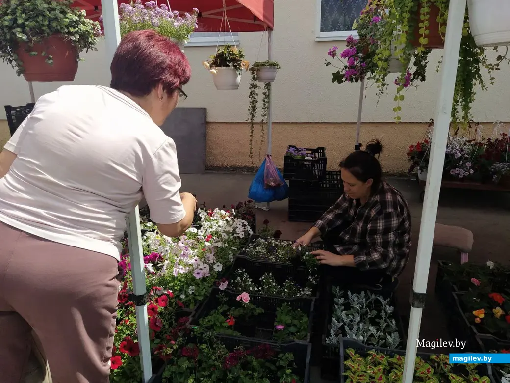 7 июня 2024 года. Могилев. Минский (Центральный) рынок.