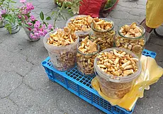 Кому не придется платить подоходный налог за продажу грибов и ягод: рассказали в МНС