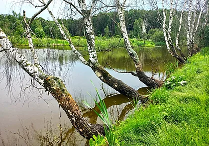 Водоемы могилевской Казимировки: велосипед здесь вовсе ни при чем