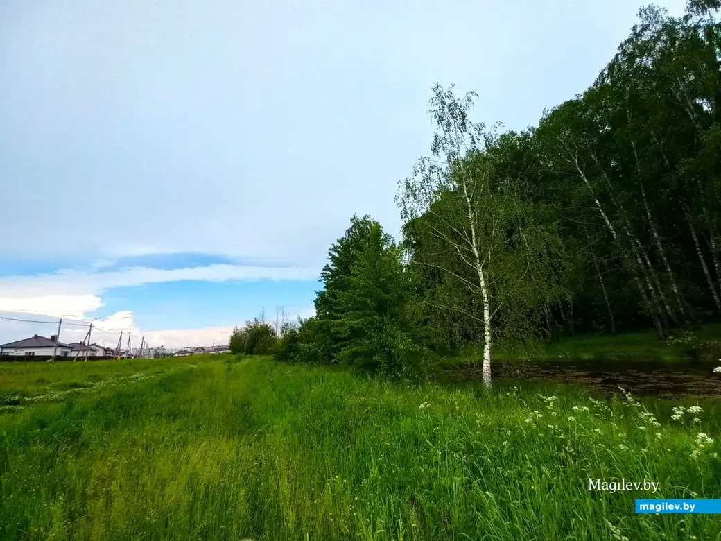 Июнь 2024 г., Могилев, Казимировка. Озеро № 1.