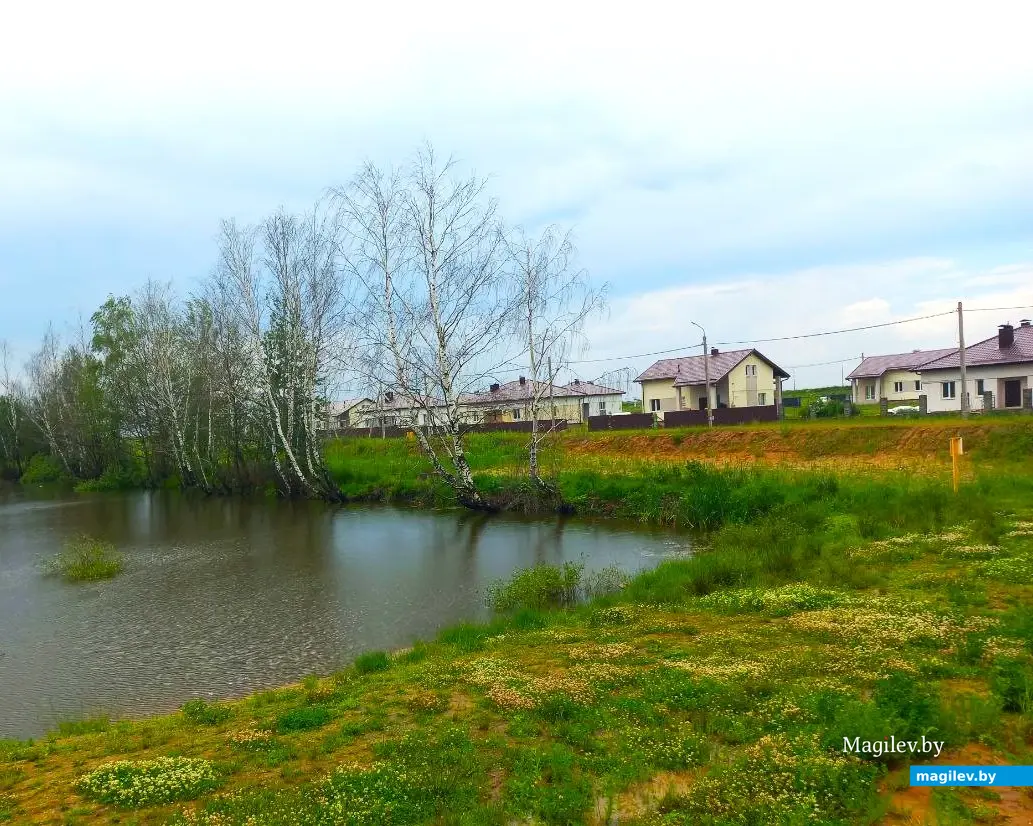 Июнь 2024 г., Могилев, Казимировка. Озеро № 2.